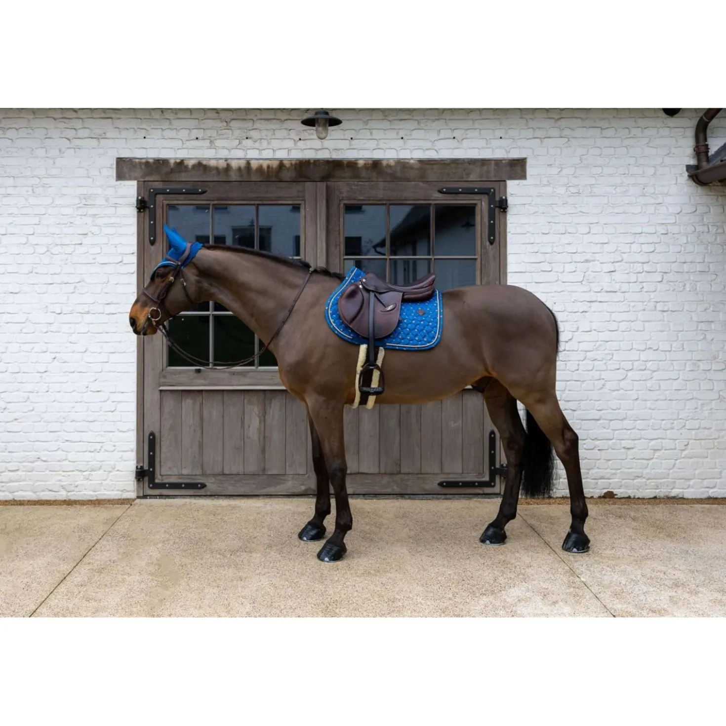 Kentucky Zadeldekje Velvet Horse Printing Springen Navy