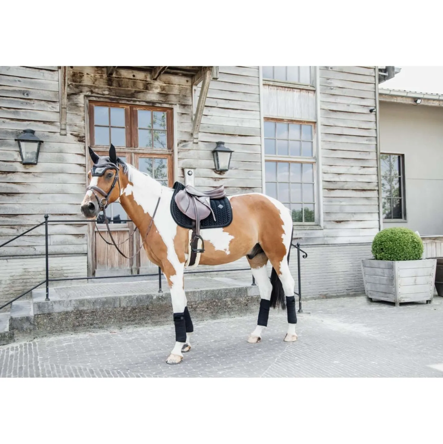 Kentucky Zadeldekje Velvet Pearls Springen Zwart