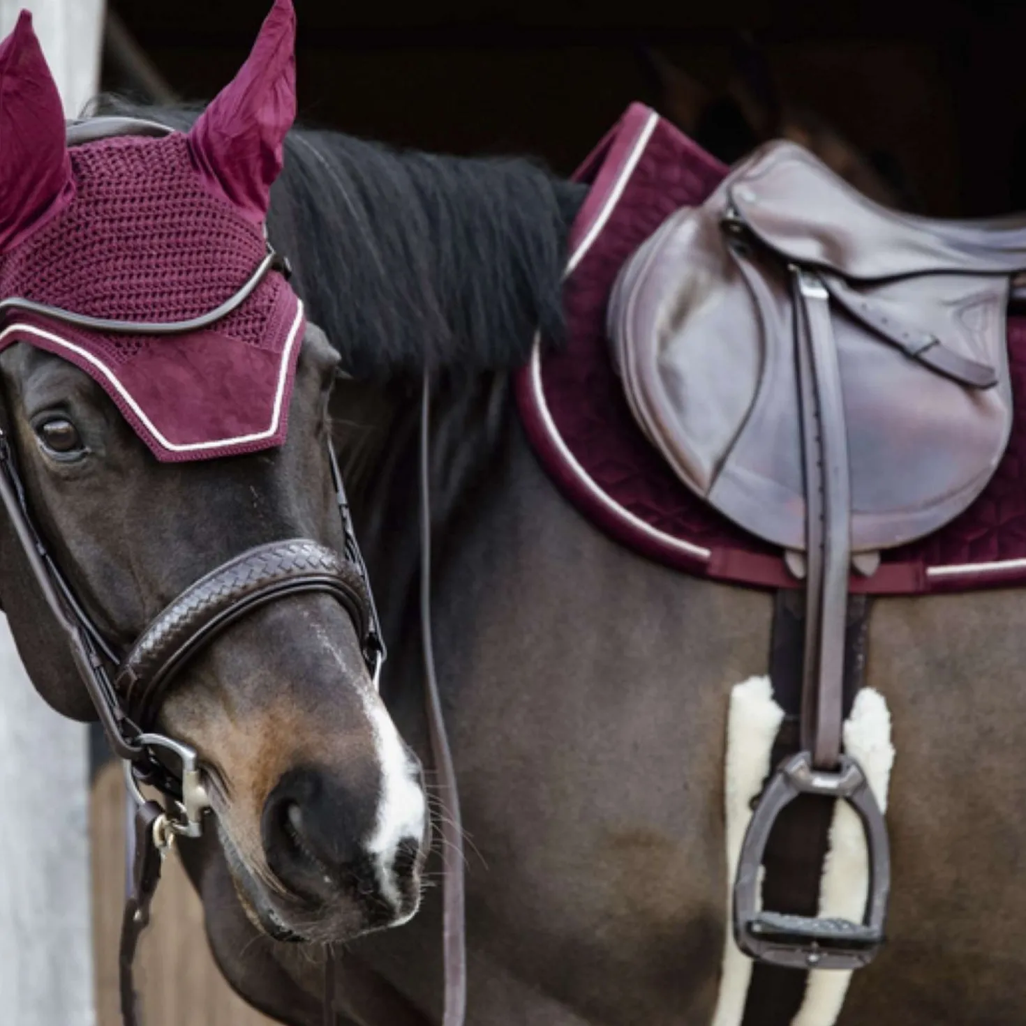 Kentucky Zadeldekje Velvet Springen Bordeaux