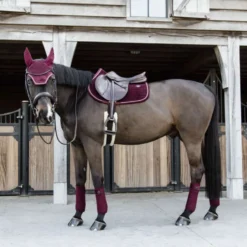 Kentucky Zadeldekje Velvet Springen Bordeaux