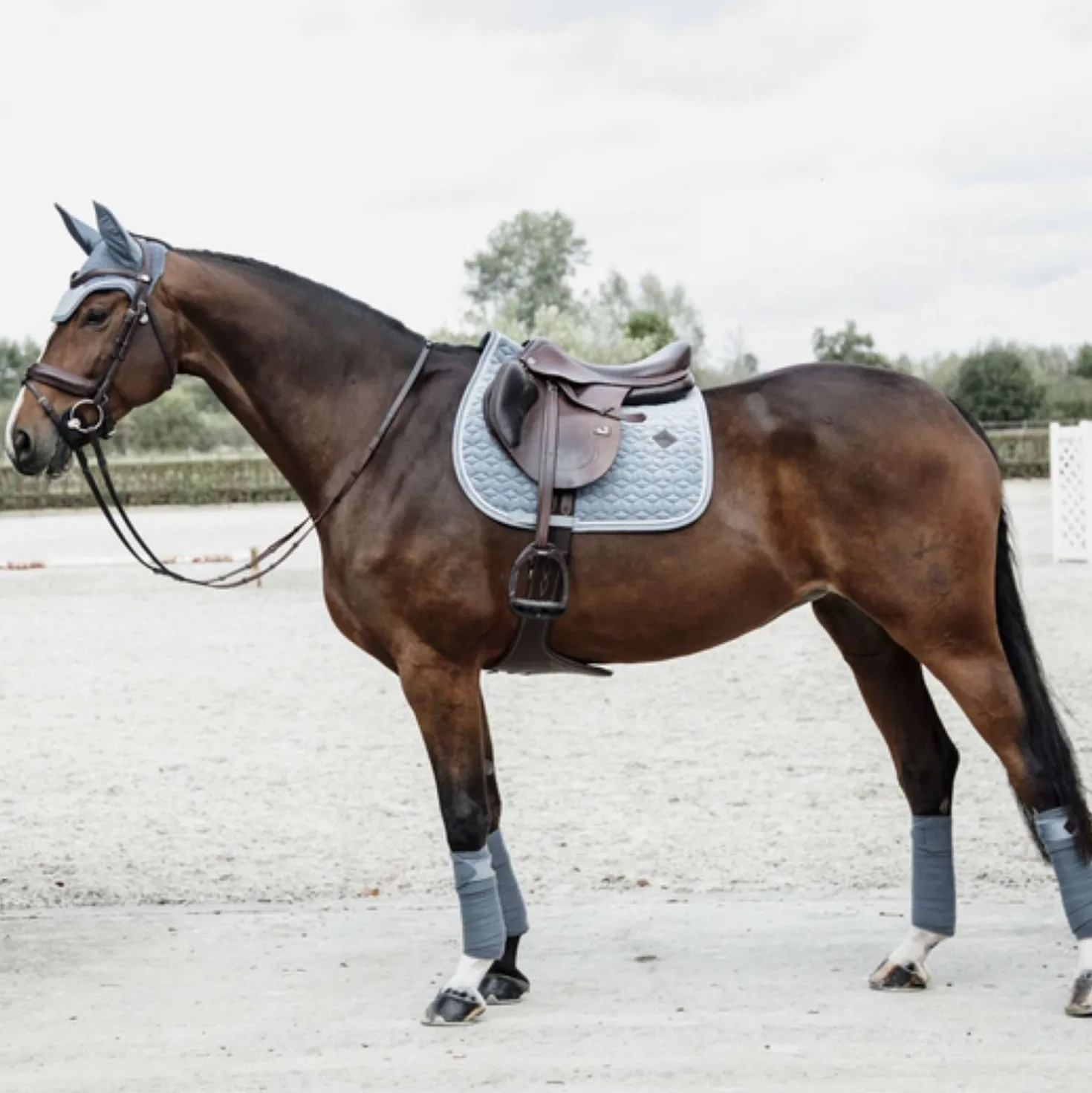 Kentucky Zadeldekje Velvet Springen Light Blue