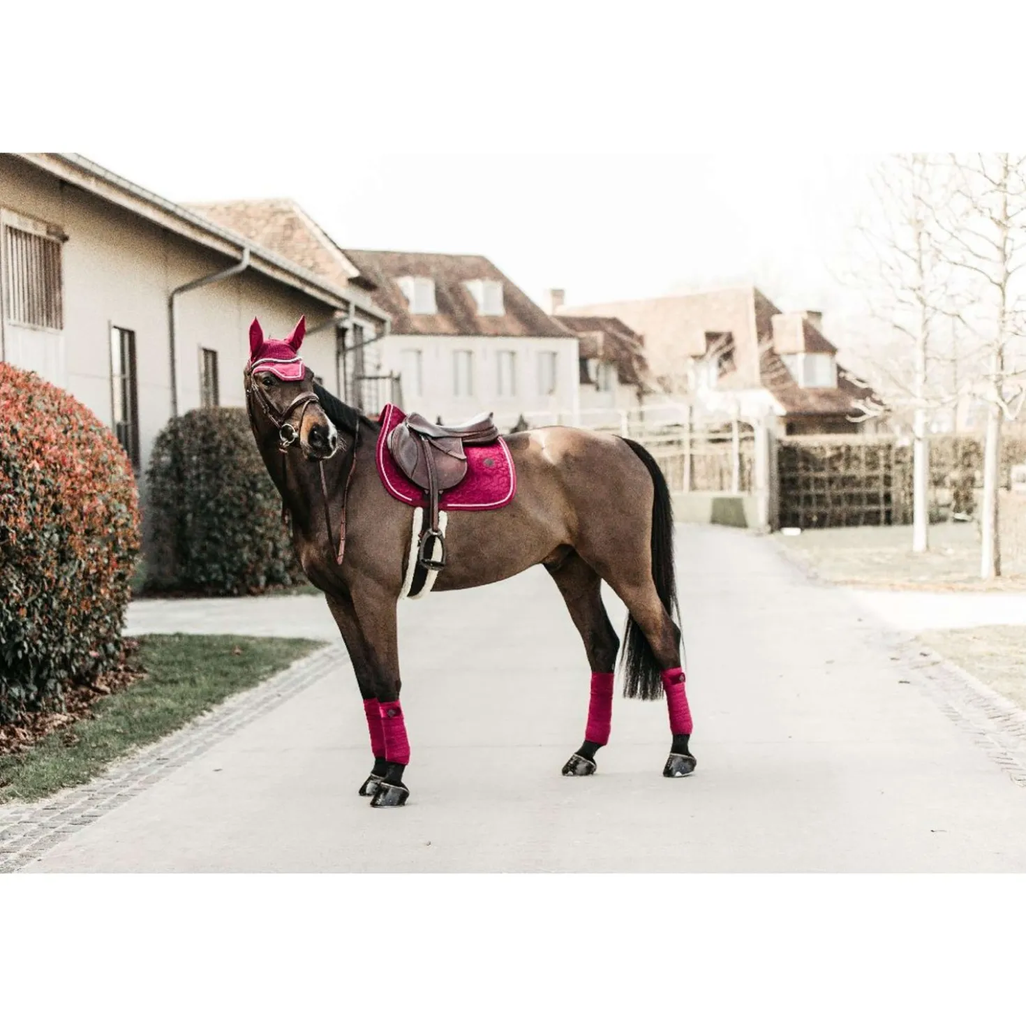 Kentucky Zadeldekje Velvet Springen Fuchsia