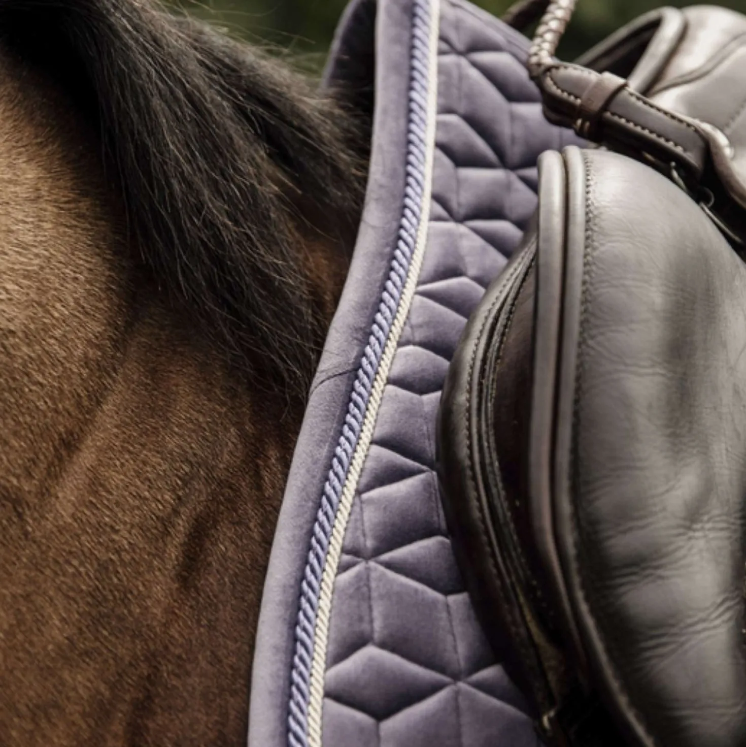 Kentucky Zadeldekje Velvet Springen Purper