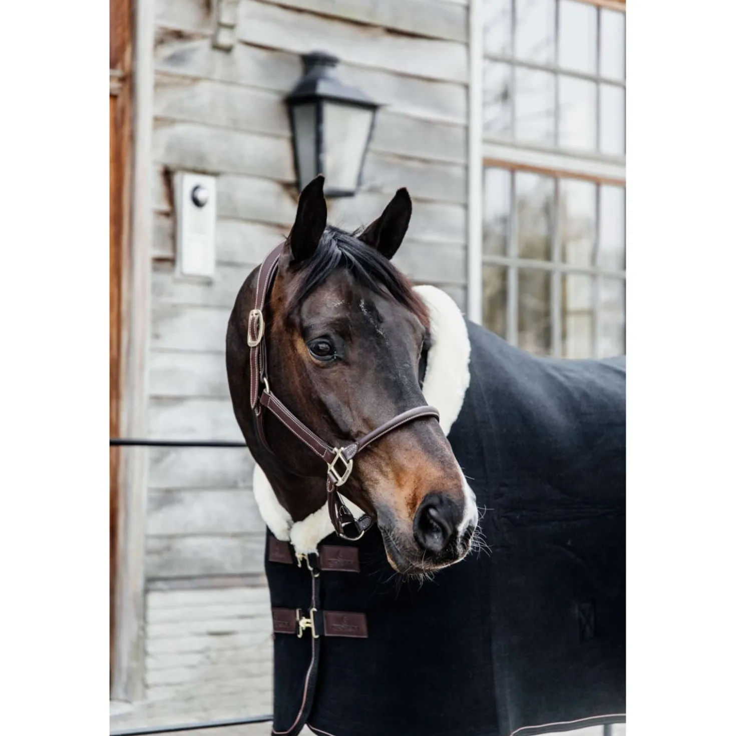 Kentucky Zweetdeken Show Fleece Heavy Zwart