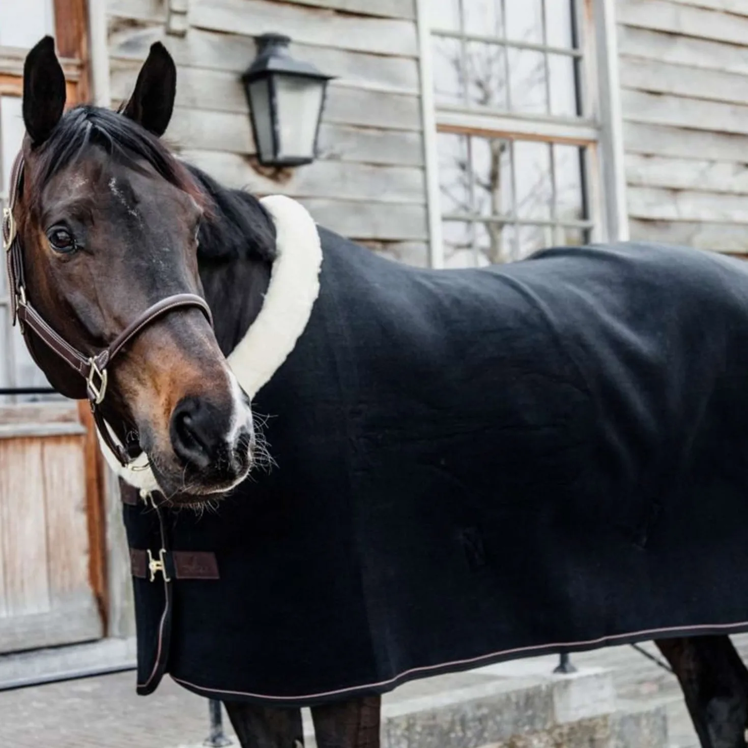 Kentucky Zweetdeken Show Fleece Heavy Zwart