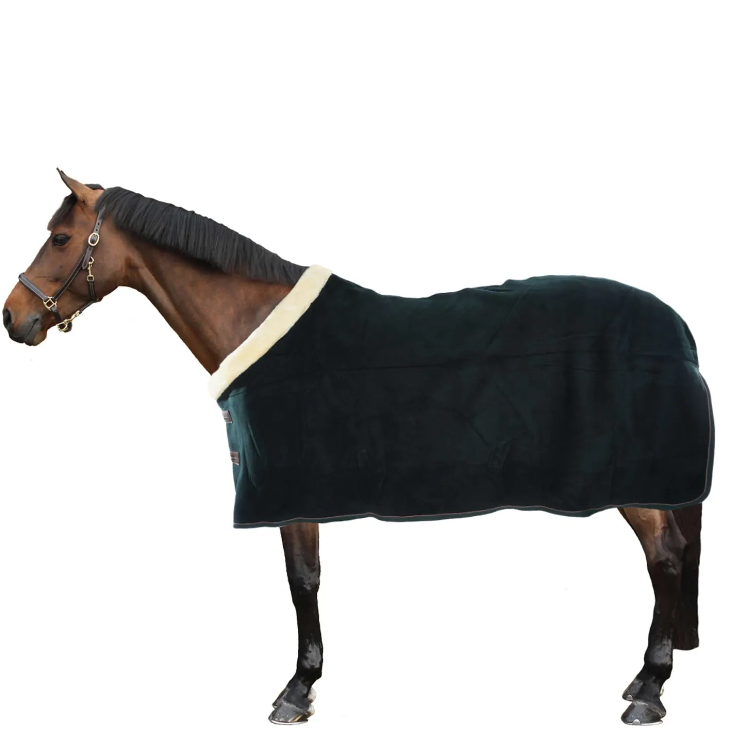 Kentucky Zweetdeken Show Fleece Heavy Groen