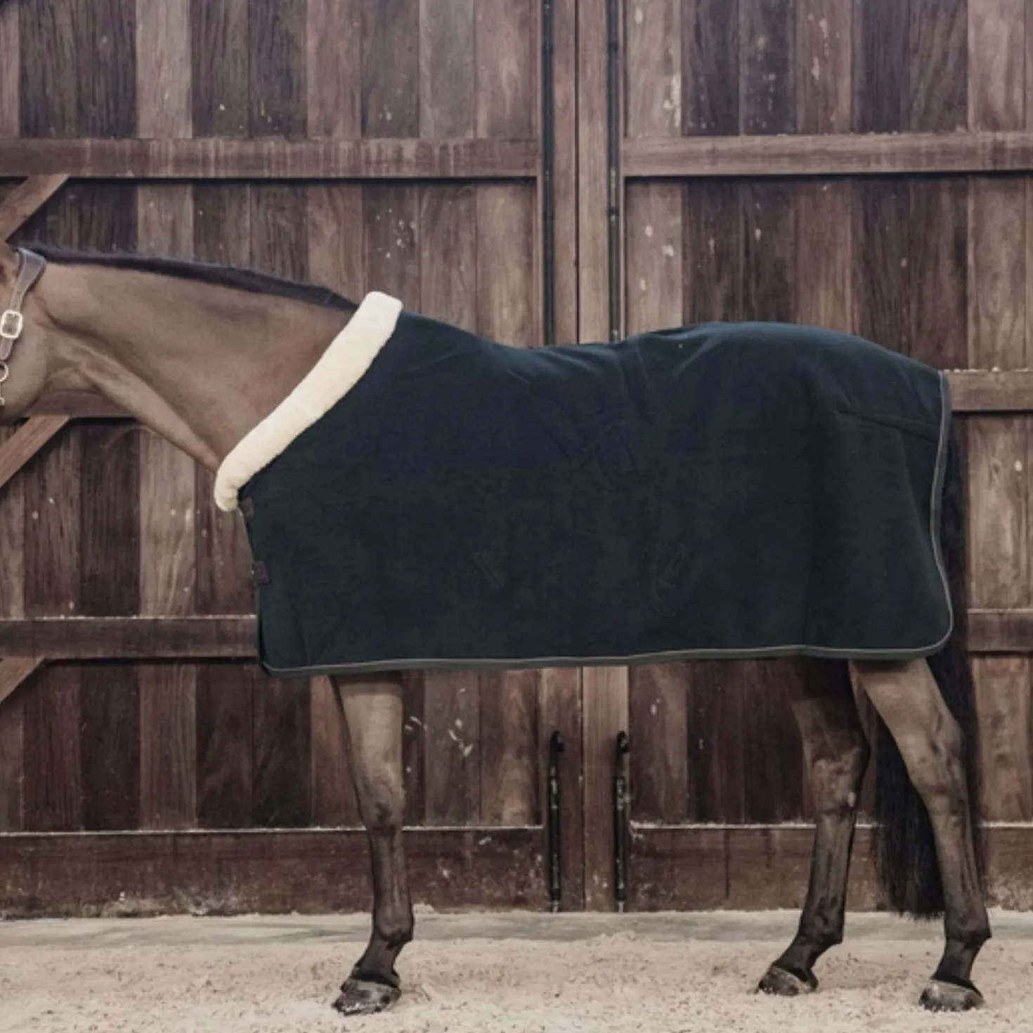 Kentucky Zweetdeken Show Fleece Heavy Groen