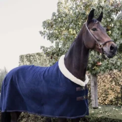 Kentucky Zweetdeken Show Fleece Heavy Navy