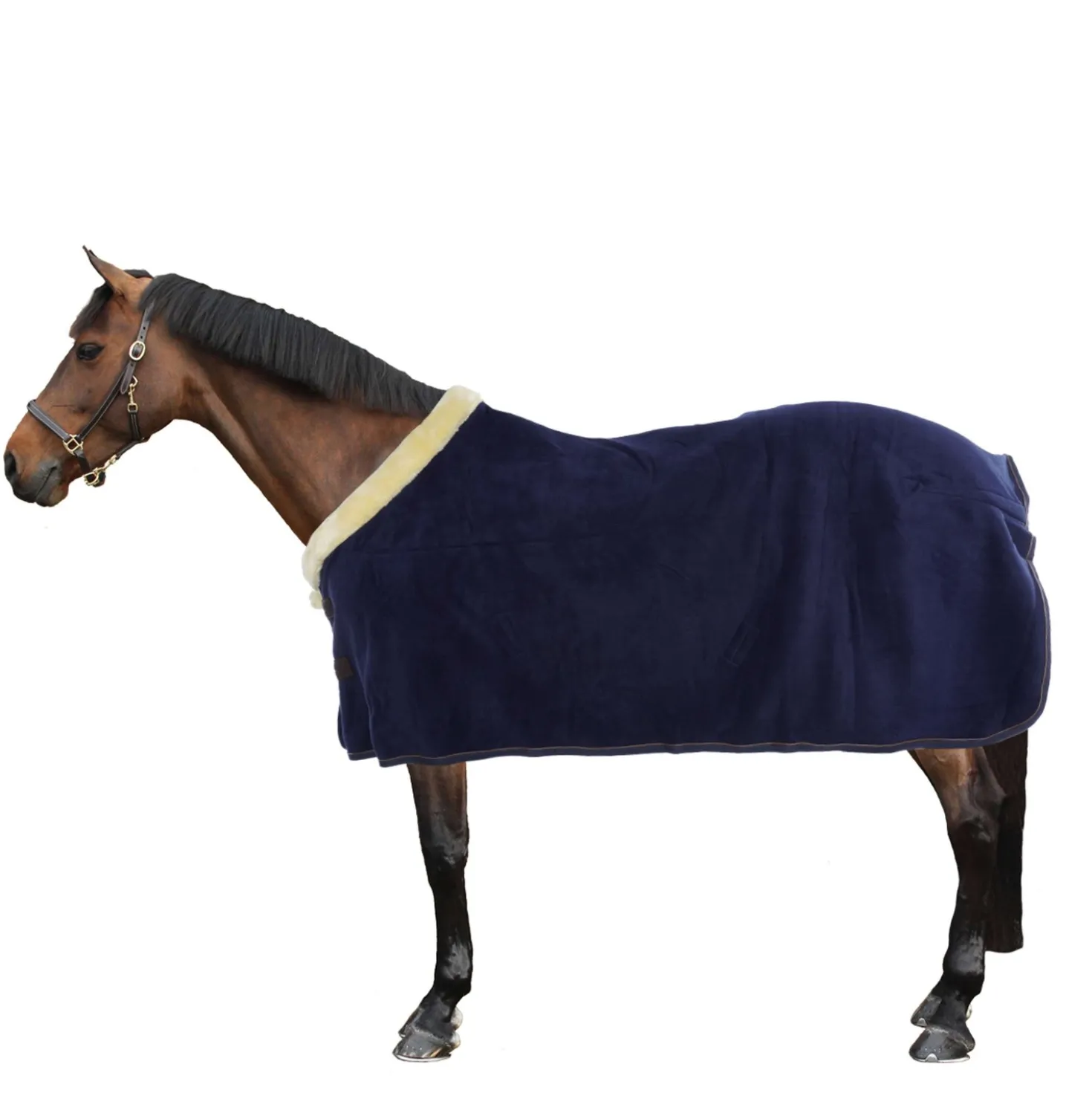 Kentucky Zweetdeken Show Fleece Heavy Navy