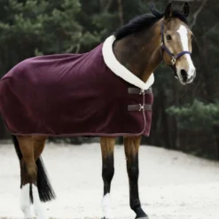 Kentucky Zweetdeken Show Fleece Heavy Bordeaux