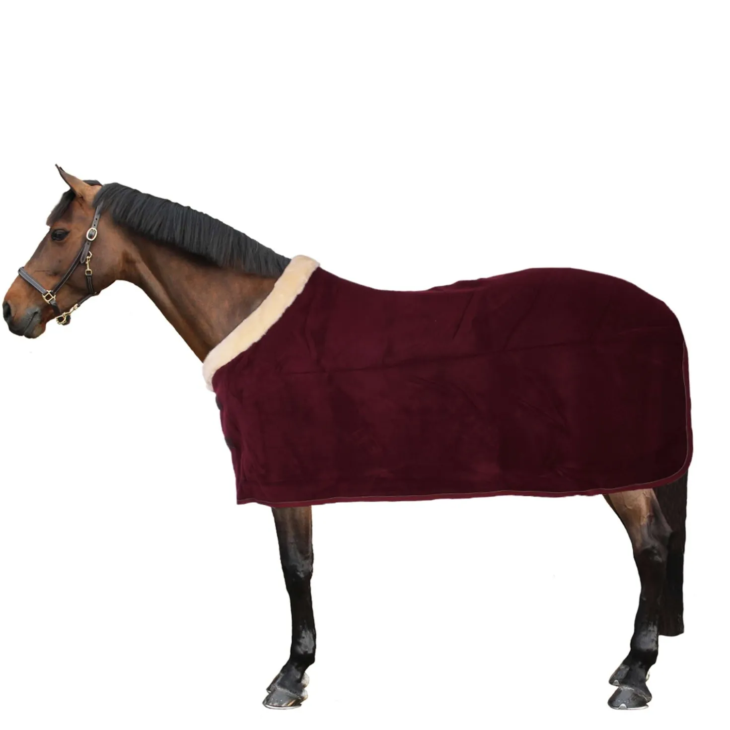 Kentucky Zweetdeken Show Fleece Heavy Bordeaux