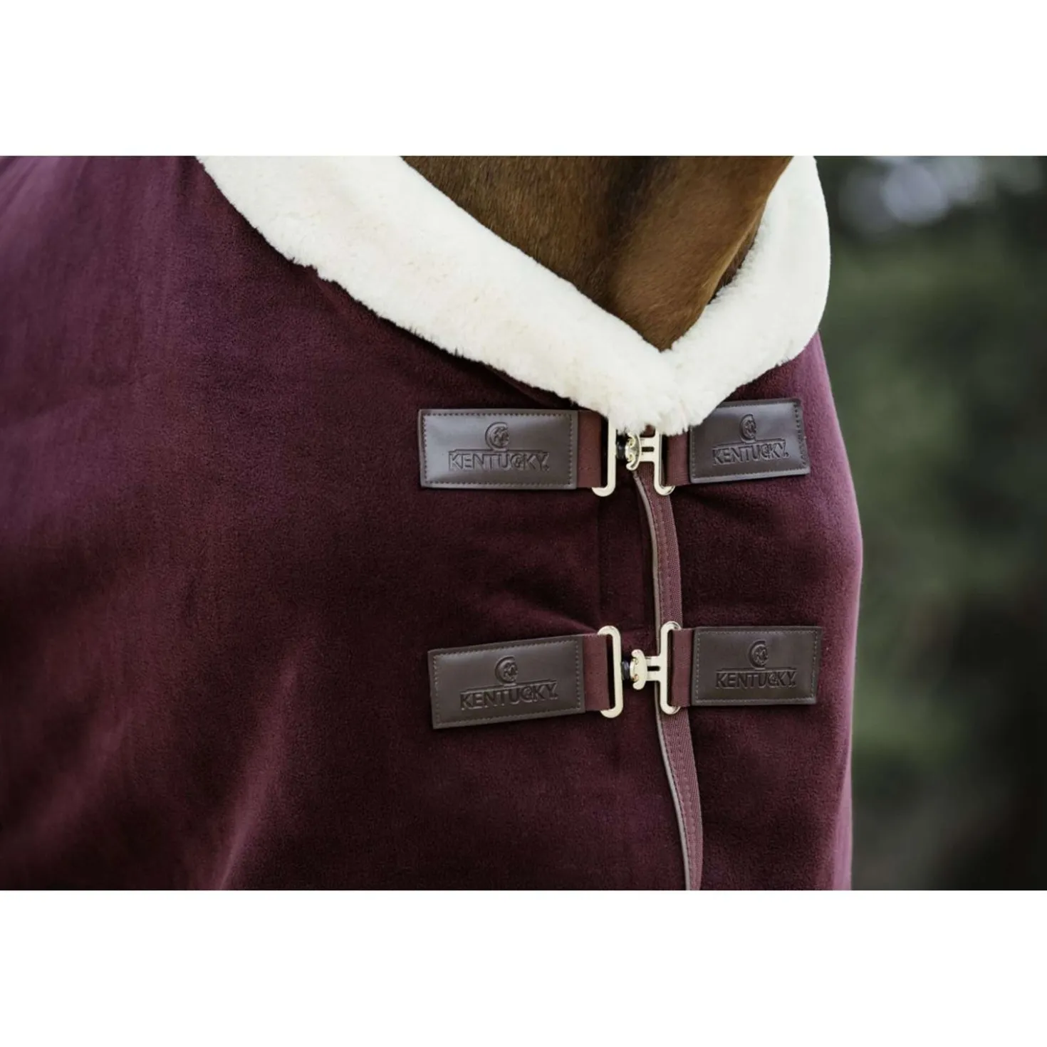 Kentucky Zweetdeken Show Fleece Heavy Bordeaux