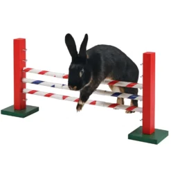 Kerbl Agility Hoogtesprong voor Knaagdieren