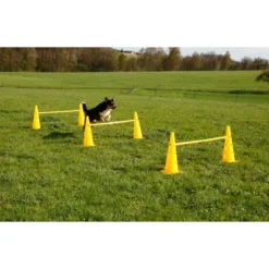 Kerbl Agility Pylon Set 3 Opstakels Rood/Geel
