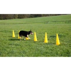 Kerbl Agility Pylon Set 3 Opstakels Rood/Geel