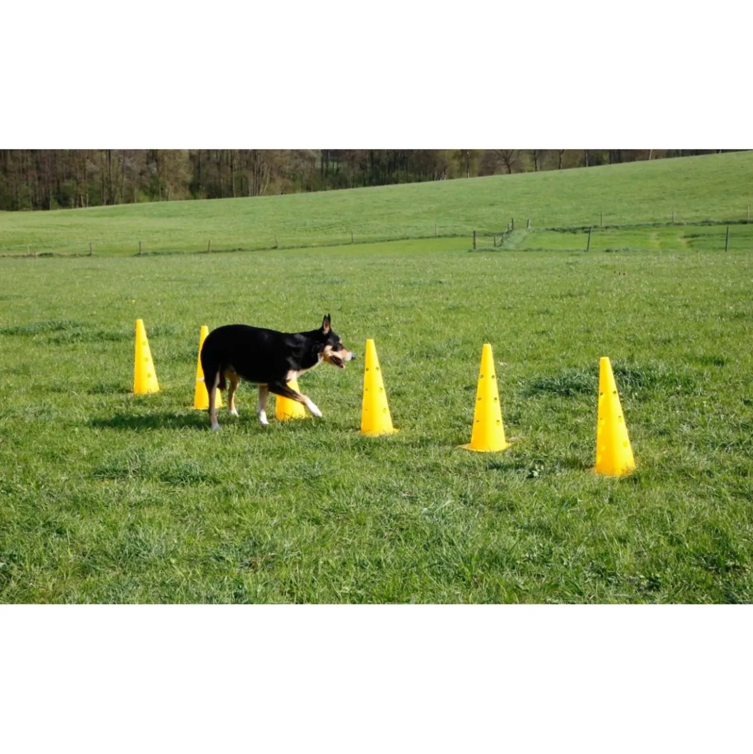 Kerbl Agility Pylon Set 3 Opstakels Rood/Geel