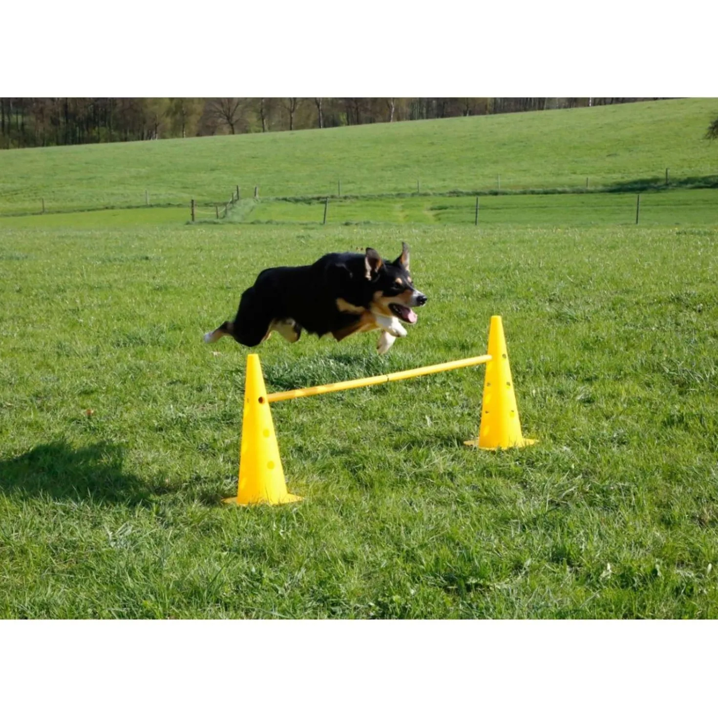 Kerbl Agility Pylon Set 3 Opstakels Rood/Geel