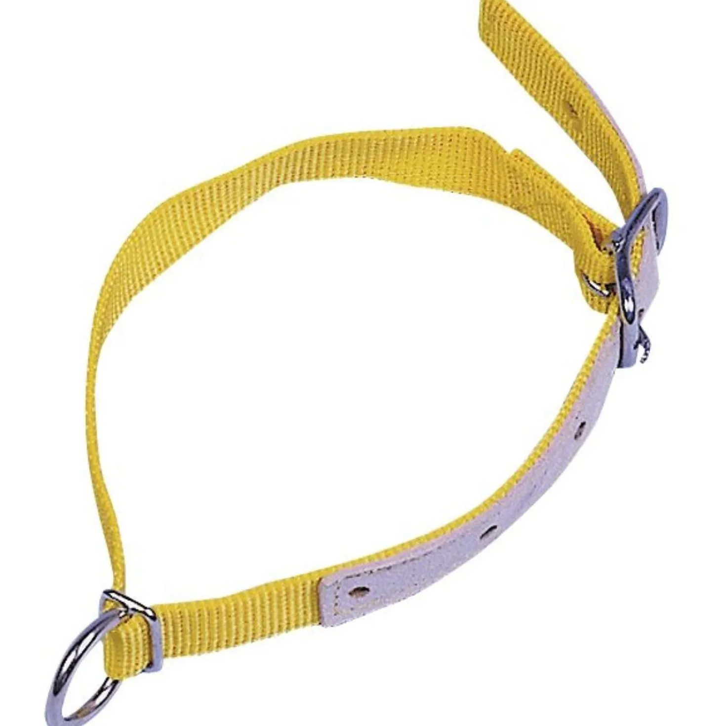 Kerbl Halsband Nylon voor Schaap/geit Geel