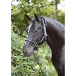 Kerbl Halster Cordano Blauw
