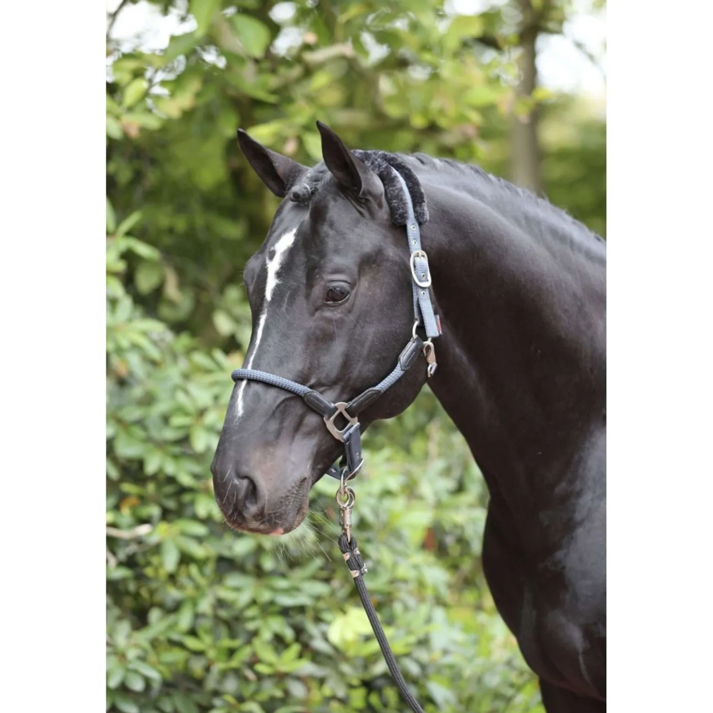 Kerbl Halster Cordano Blauw