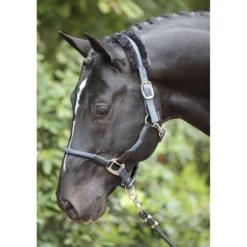Kerbl Halster Cordano Blauw