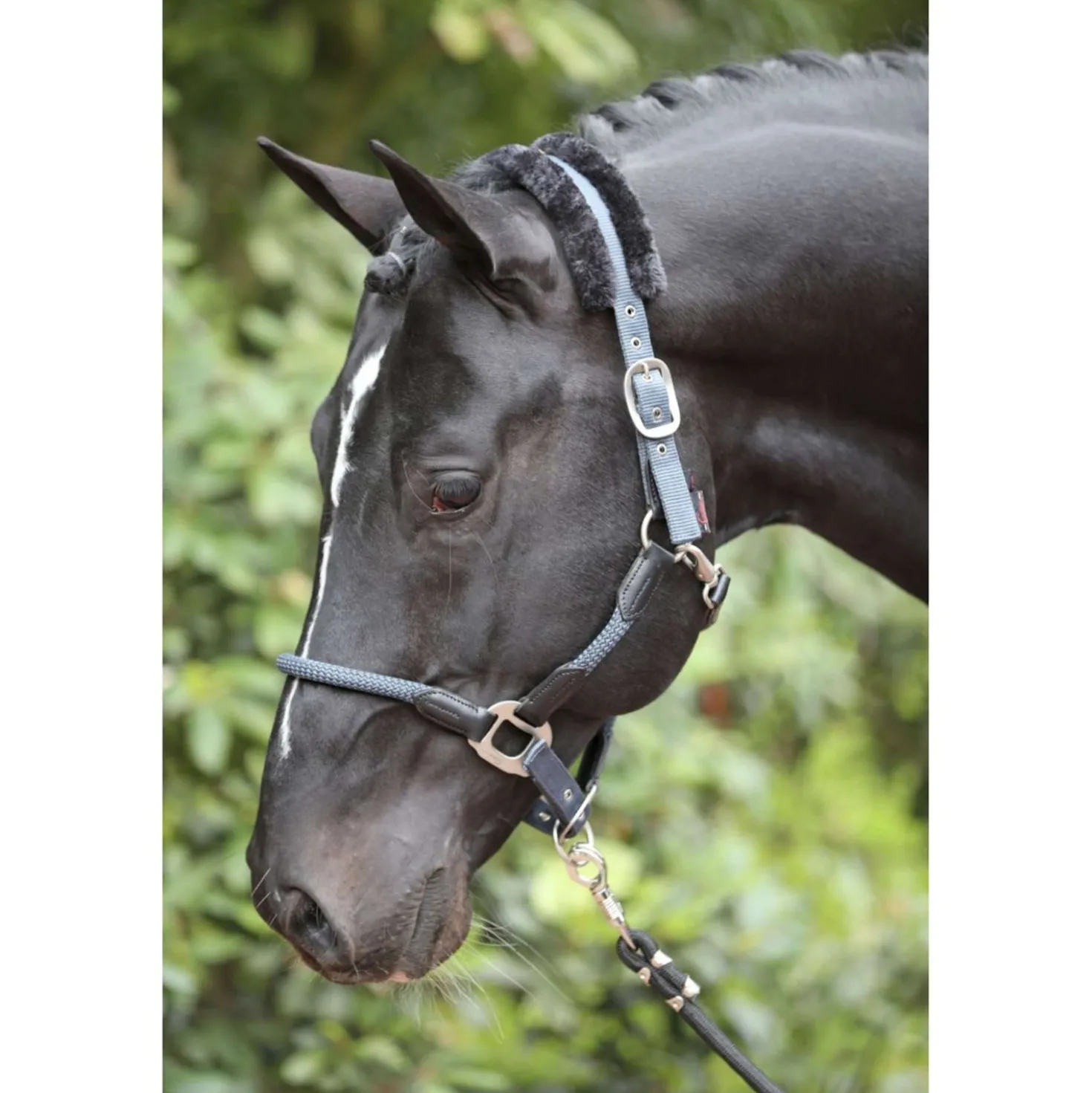 Kerbl Halster Cordano Blauw