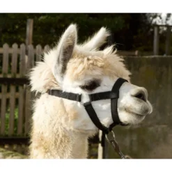 Kerbl Halster Verstelbaar Alpaca Zwart