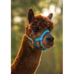 Kerbl Halster Verstelbaar Alpaca Blauw