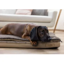 Kerbl Hondenmatras 2 in 1 Bruin/Beige