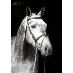 Kerbl Hoofdstel Eurohorse Bruin