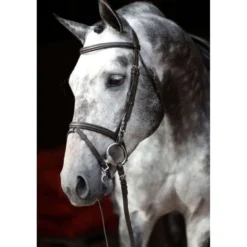 Kerbl Hoofdstel Eurohorse Bruin