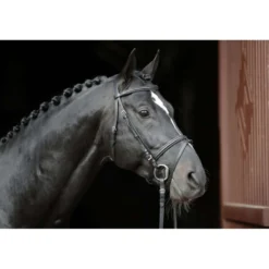Kerbl Hoofdstel Eurohorse Zwart