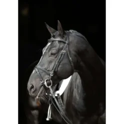 Kerbl Hoofdstel Eurohorse Zwart