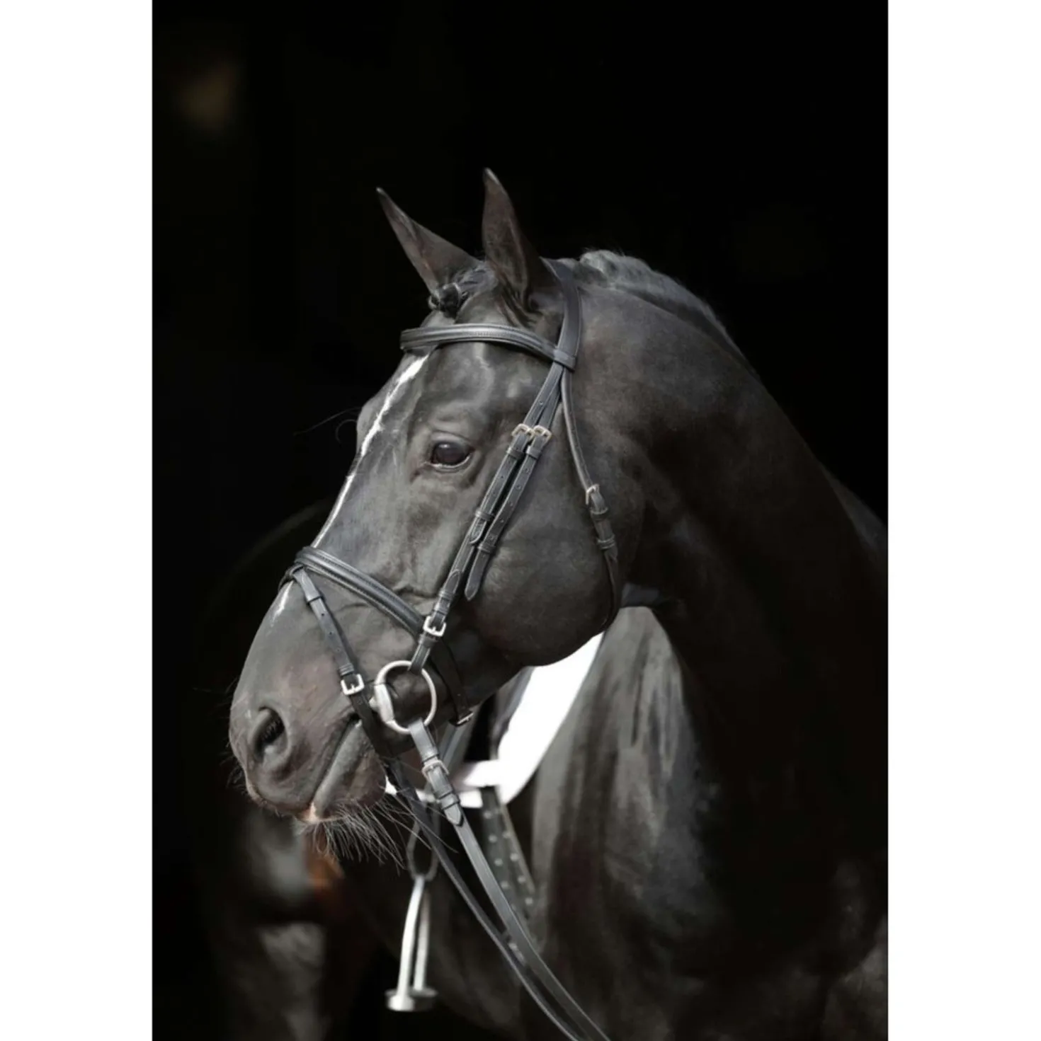Kerbl Hoofdstel Eurohorse Zwart