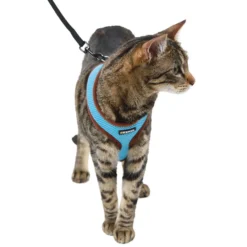 Kerbl Kattenharnas Active met Lijn Blauw