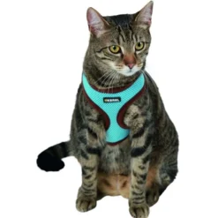 Kerbl Kattenharnas Active met Lijn Blauw