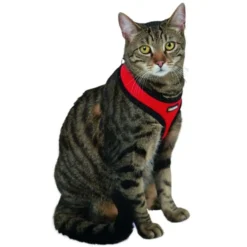 Kerbl Kattenharnas Active met Lijn Rood