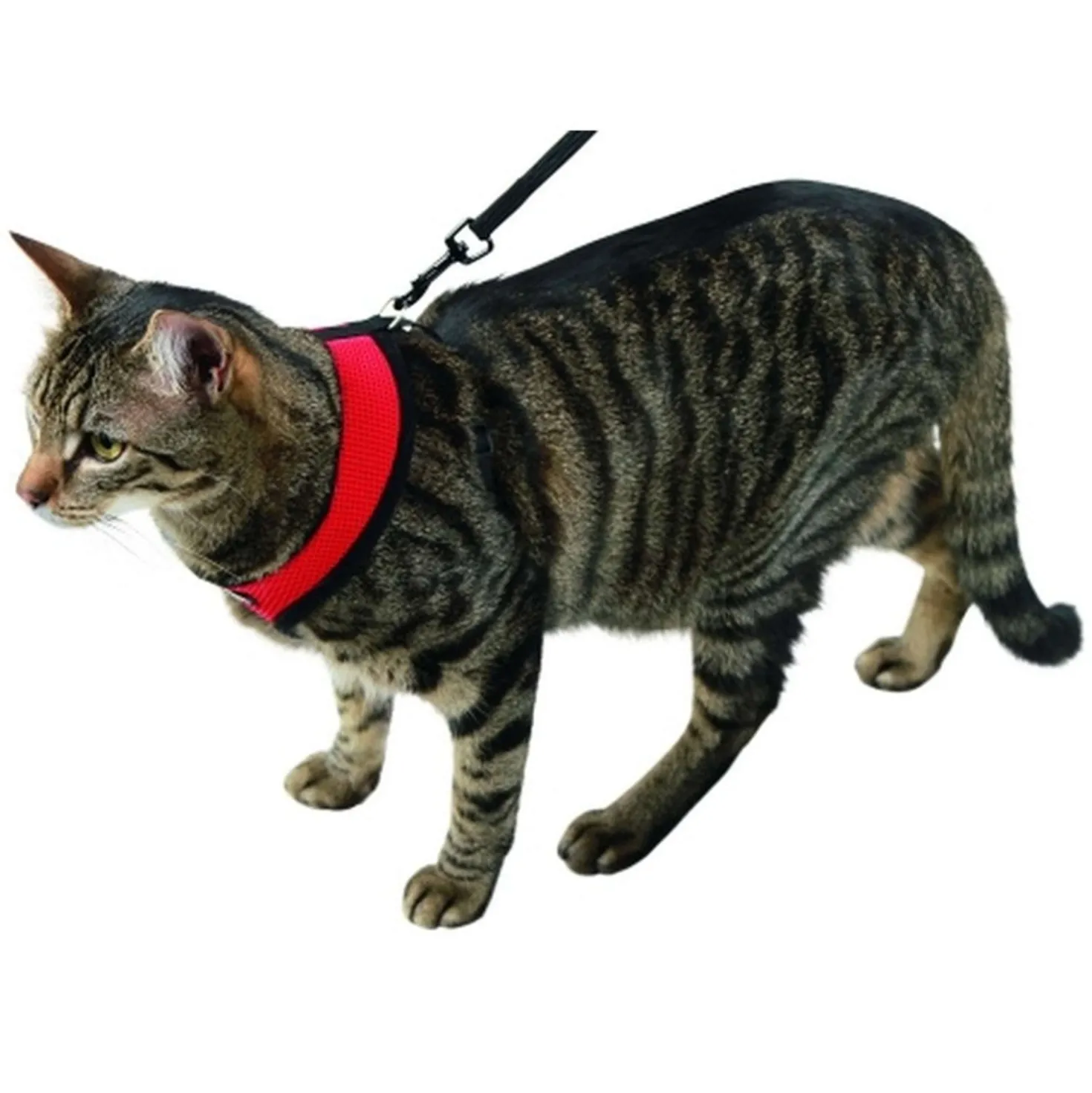 Kerbl Kattenharnas Active met Lijn Rood