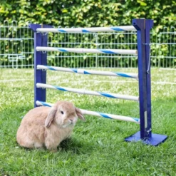Kerbl Konijnenhindernis Agility 2