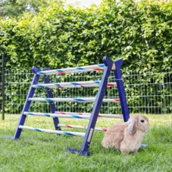 Kerbl Konijnenhindernis Agility 2