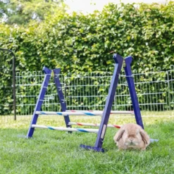 Kerbl Konijnenhindernis Agility 2