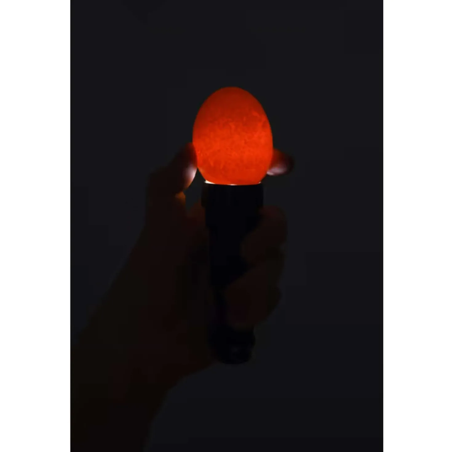 Kerbl LED Eierdoorlichtlamp Zwart