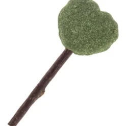 Kerbl Lollipop Hartje Groen