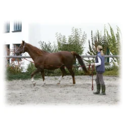 Kerbl Longeerlijn Softgrip 8mtr Zwart/Rood