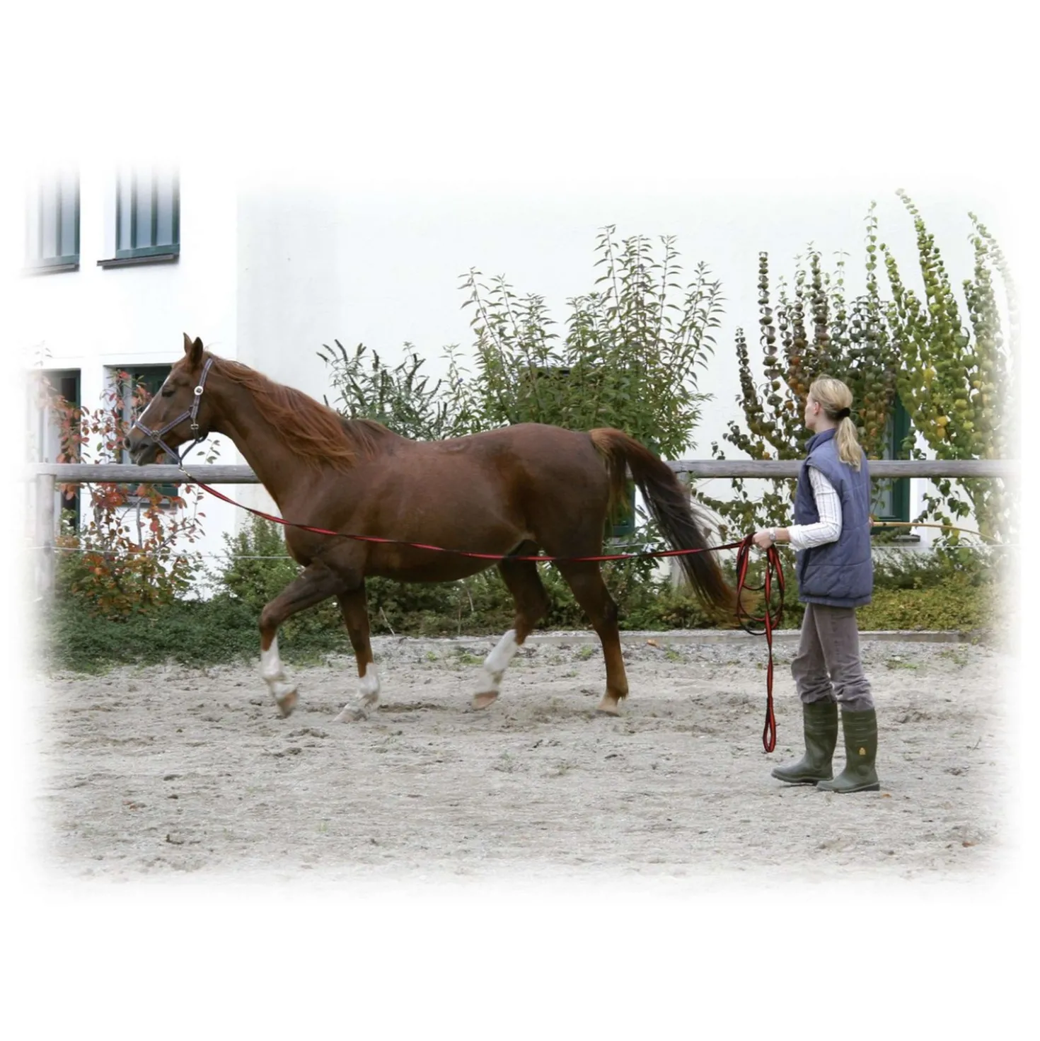 Kerbl Longeerlijn Softgrip 8mtr Zwart/Rood