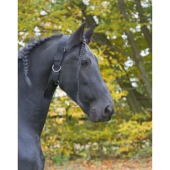 Kerbl Paardenhalsband Zwart