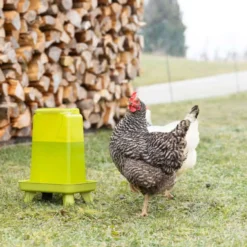 Kerbl Pluimvee Drinkbak op Voet Groen