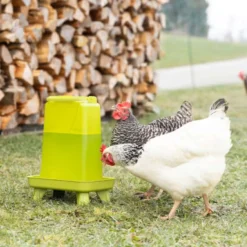 Kerbl Pluimvee Drinkbak op Voet Groen