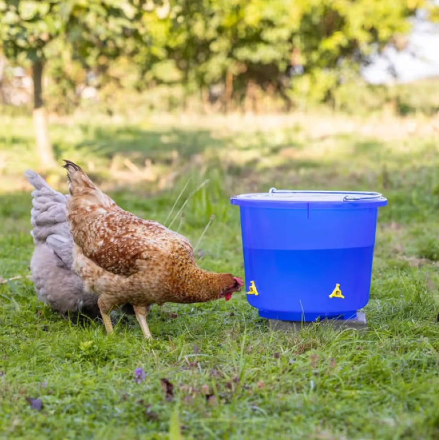 Kerbl Pluimvee Drinkemmer met 4 Drinknippels Blauw