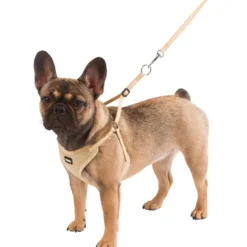 Kerbl Puppy Harnas met Lijn Beige